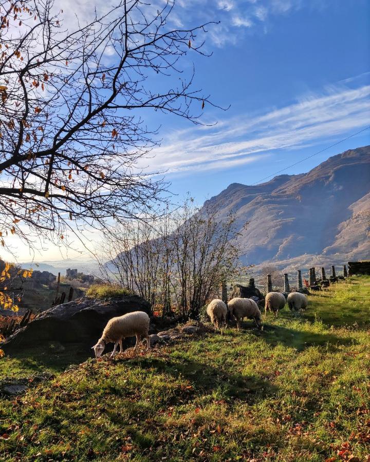 B&B Al Vecchio Torchio Settimo Vittone Exteriör bild