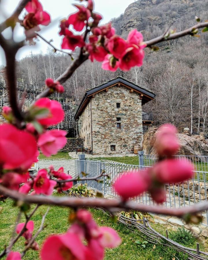 B&B Al Vecchio Torchio Settimo Vittone Exteriör bild